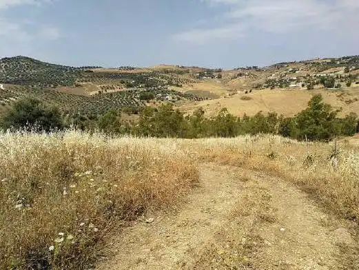 Houses for sale in Pt/ Partida La Rotura, Viñuela