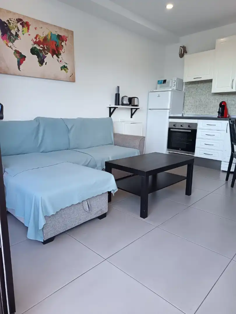 Sala de estar de Estudio en venta en Adeje con Aire acondicionado, Terraza y Amueblado