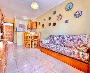 Living room of Flat for sale in San Pedro del Pinatar  with Terrace
