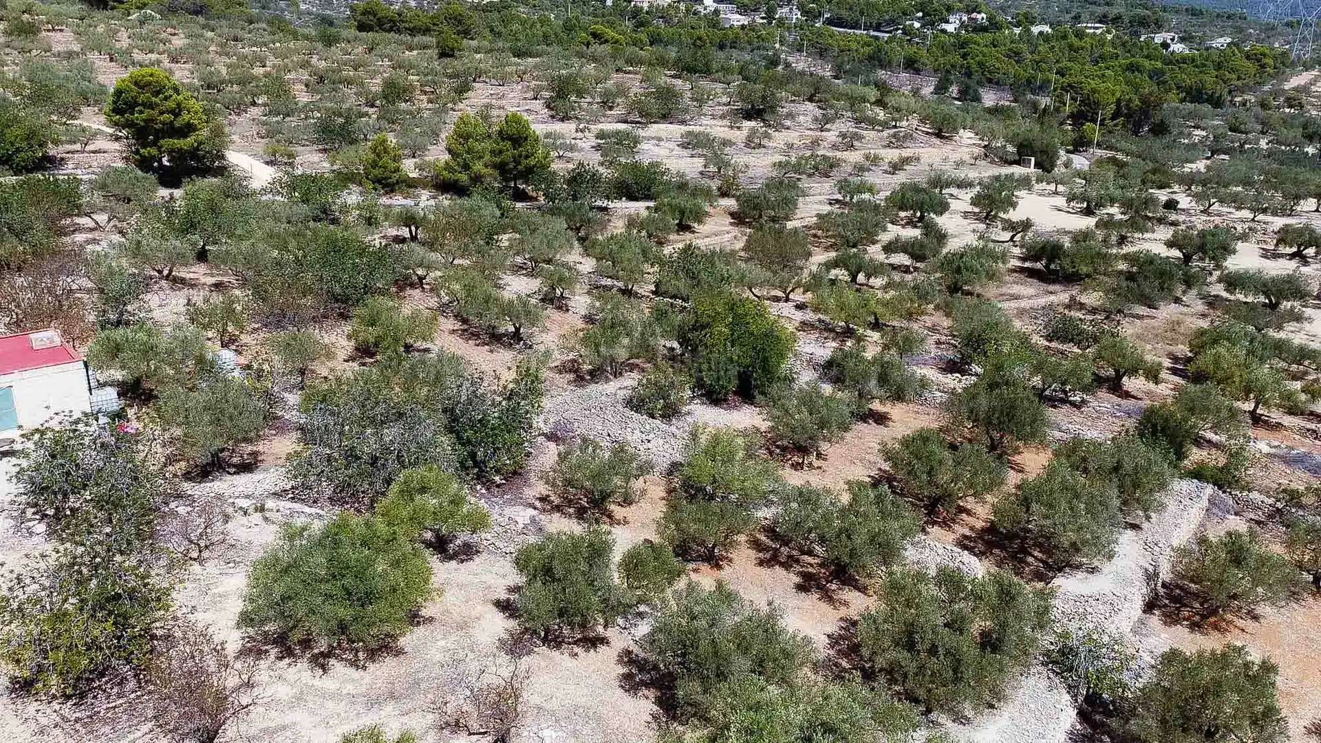 Country homes for sale in L'Ampolla