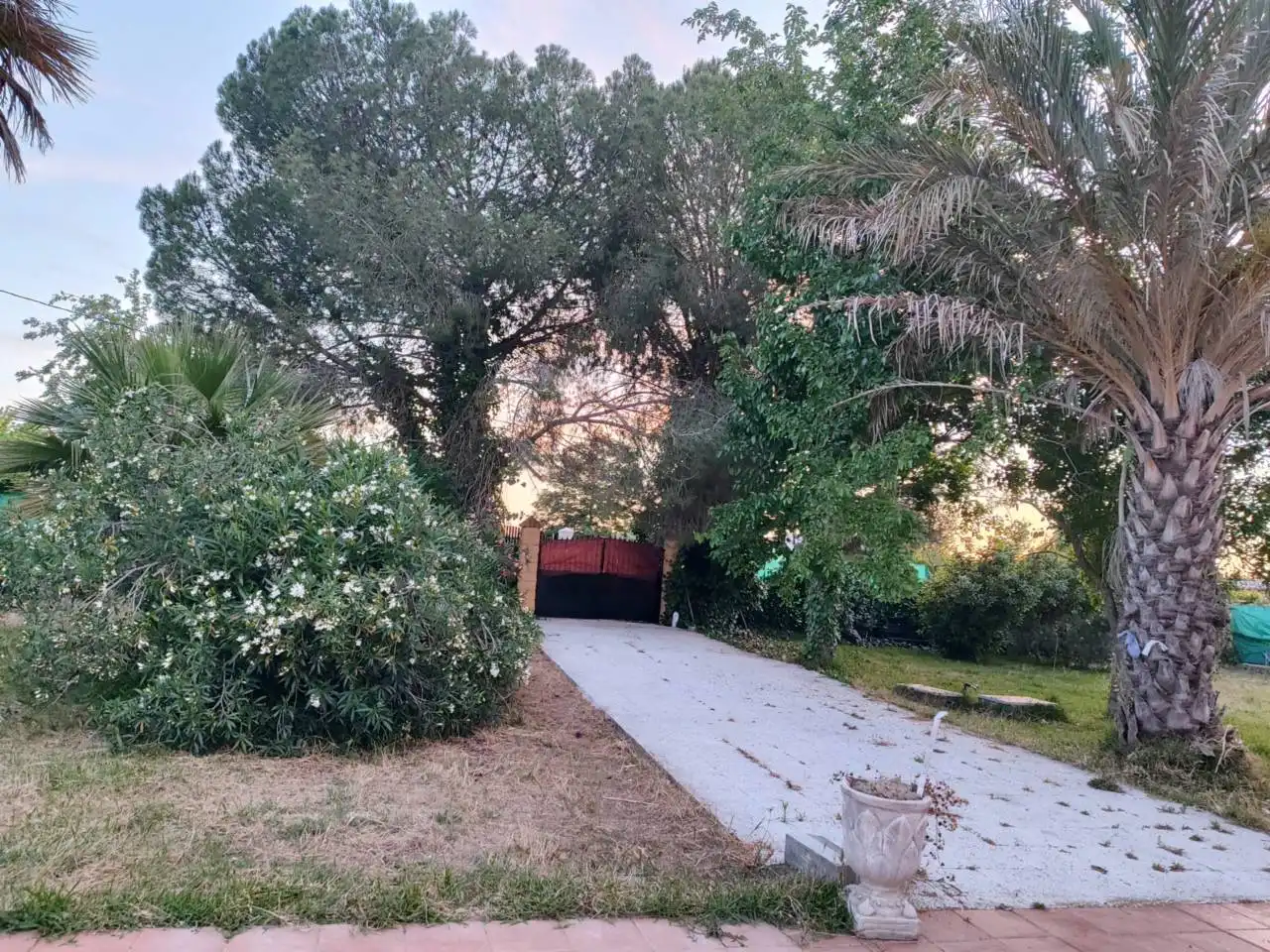 Vista exterior de Finca rústica en venta en Arahal con Aire acondicionado y Amueblado