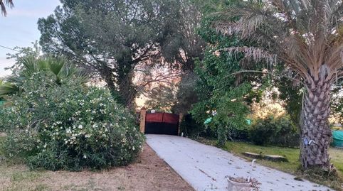 Foto 4 de Finca rústica en venta en Arahal, Sevilla