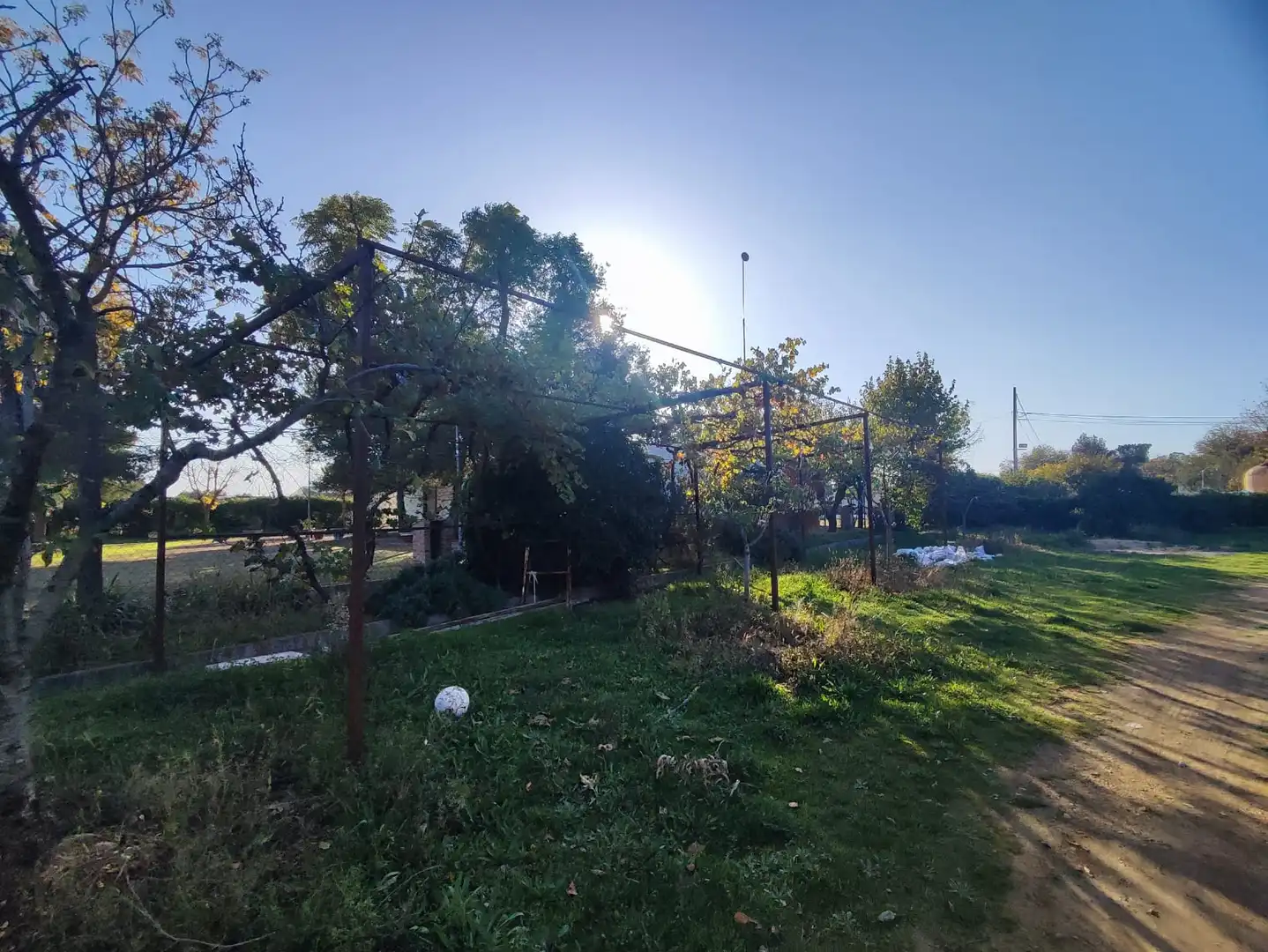 Casa con piscina en venta en Carretera la Solana-Tomelloso, imagen 34