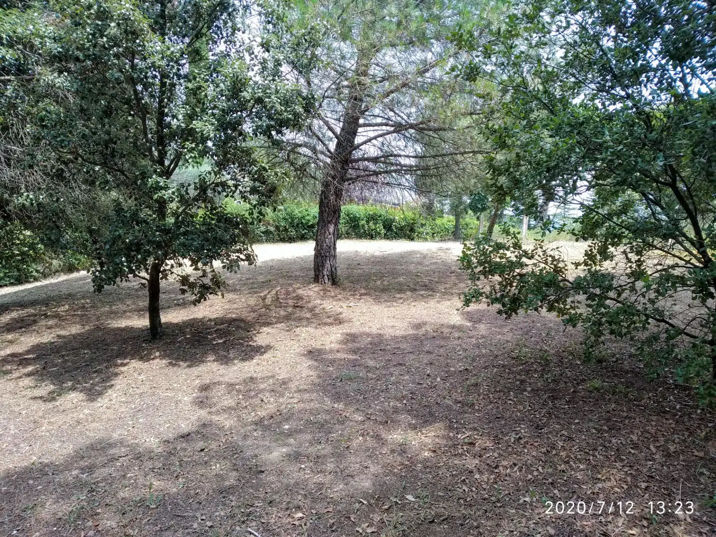 Residential land for sale in Carrer de Sant Bernat 72, imagen 10