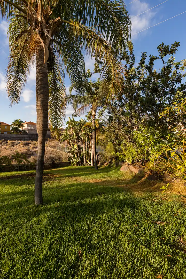 Jardí de Casa o xalet en venda en Candelaria amb Aire condicionat, Jardí privat i Terrassa