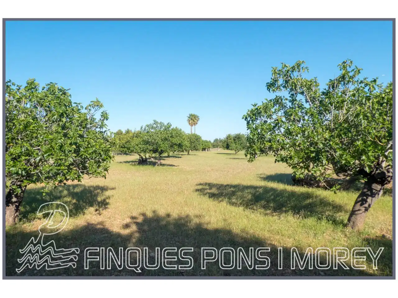 Finca rústica en venda en Campanet