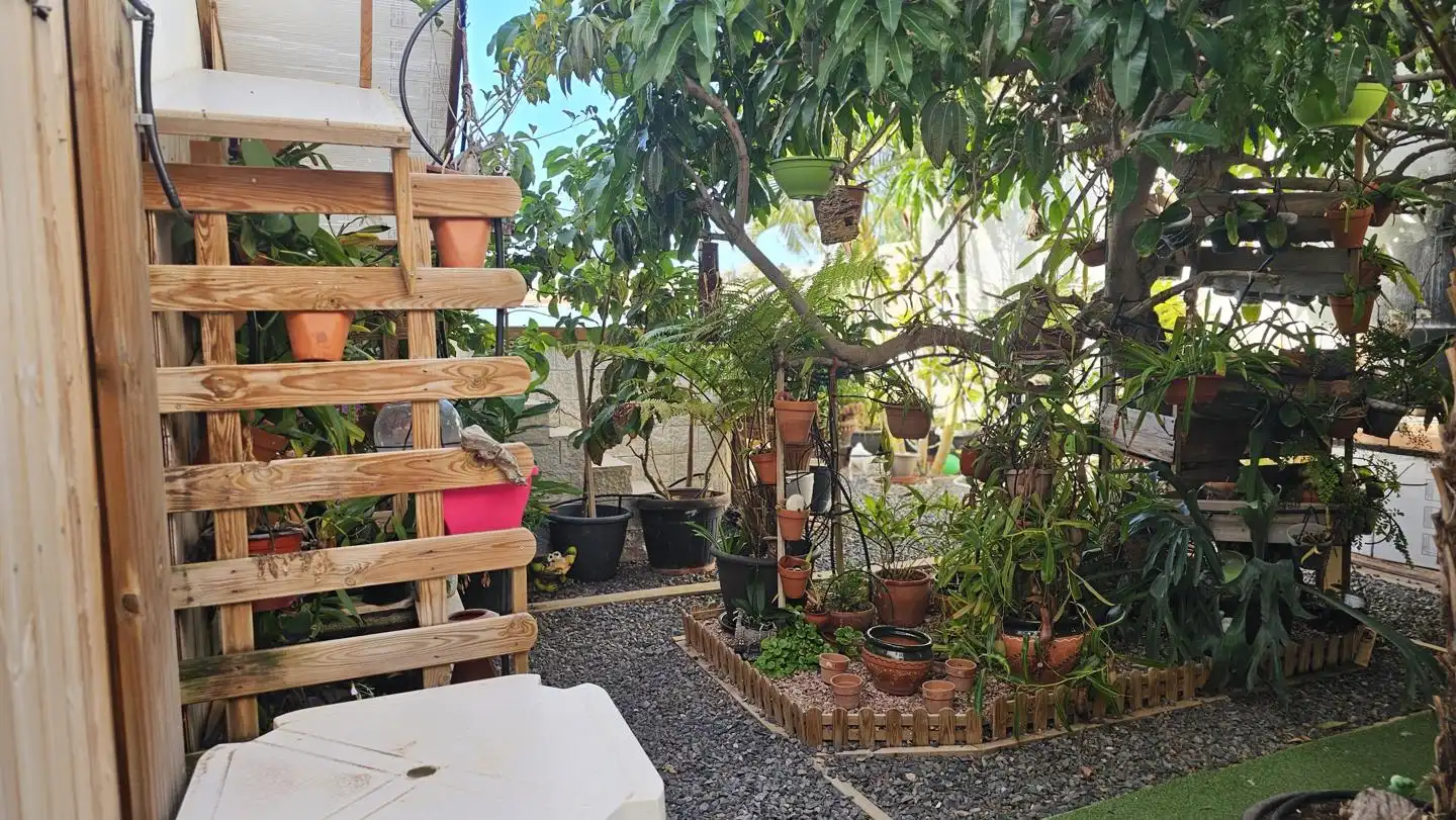 Jardí de Casa o xalet en venda en Santa Lucía de Tirajana amb Jardí privat, Terrassa i Piscina