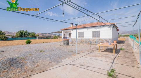 Foto 5 de Finca rústica en venta en Bobadilla, Granada Capital