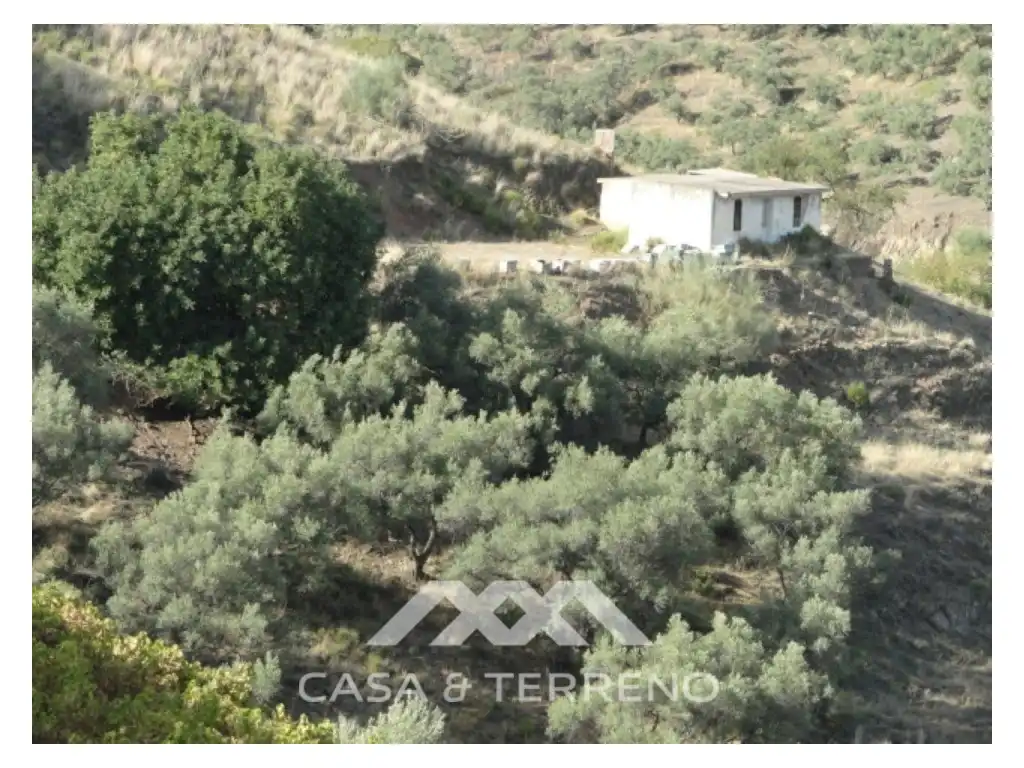 House for sale in Cómpeta, imagen 4
