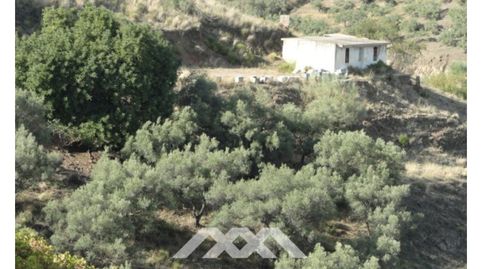 Una Finca grande con cortijo, imatge 4