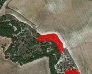 Land for sale in Simancas