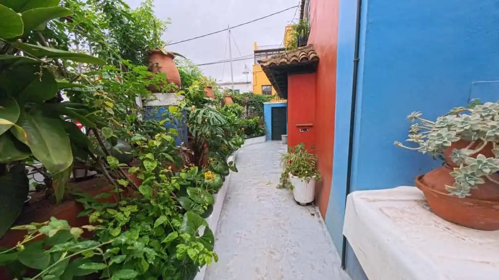 Vista exterior de Casa o chalet en venta en Los Realejos con Jardín privado y Trastero