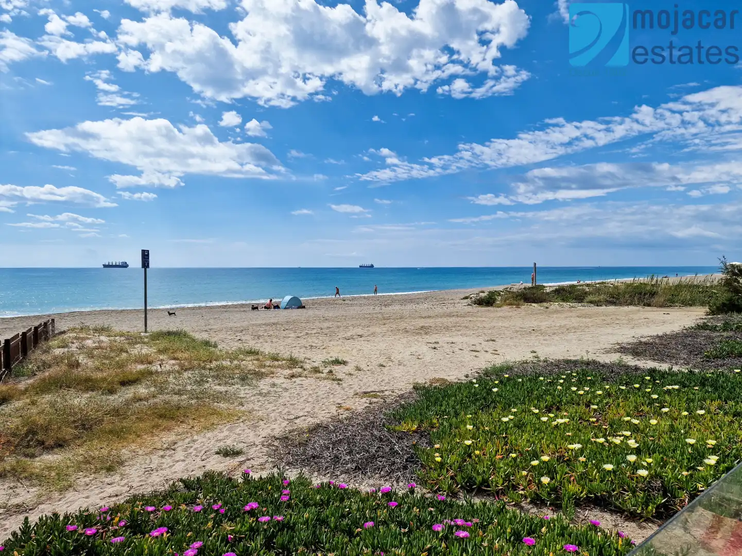 Villa mit Pool zum Verkauf in Avenida de Palomares 16, imagen 2