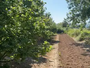 Terreno rustico in vendita a Carrer Sant Pere 1, imagen 10