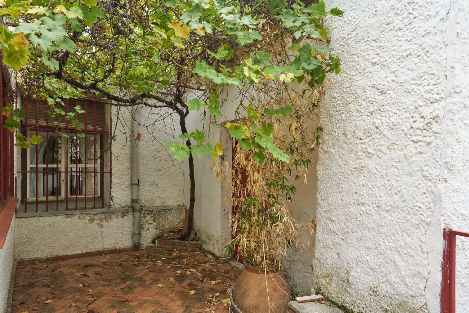 Garden of Detached homes for sale in Valdetorres de Jarama  with Private garden, Terrace and Swimming Pool