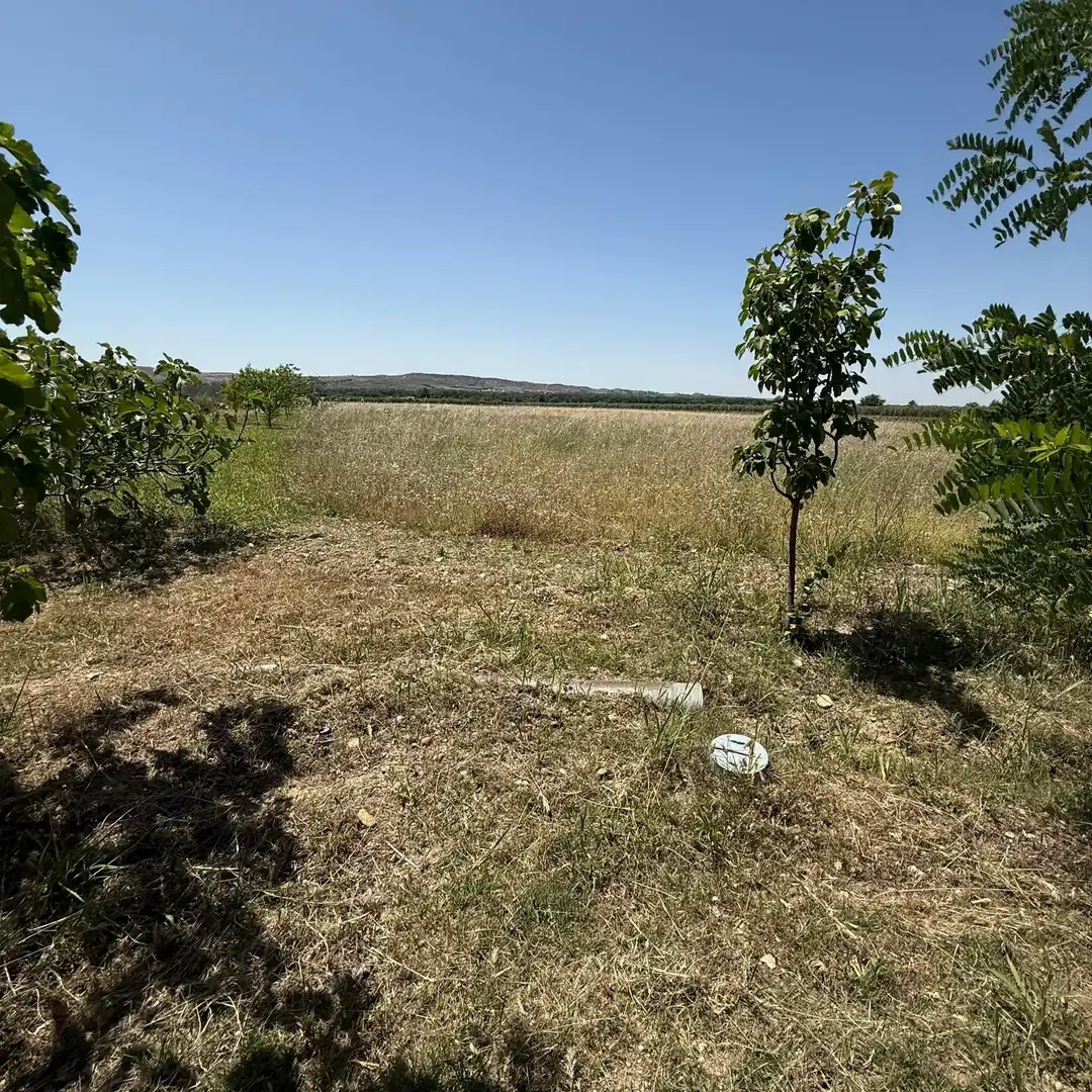 Land for sale in Aranjuez