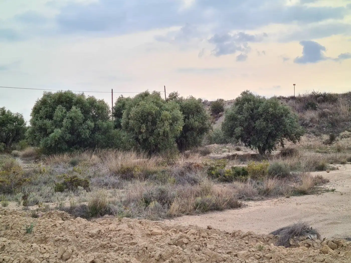 Wohnbaugrundstück zum Verkauf in Partidas de Alicante, imagen 9