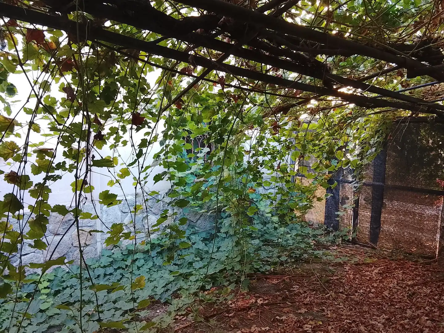 Jardín de Casa o chalet en venta en Arenas de San Pedro con Jardín privado y Trastero