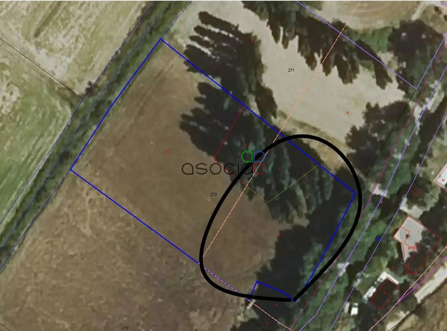 Rural land for sale in MAYOR, imagen 5