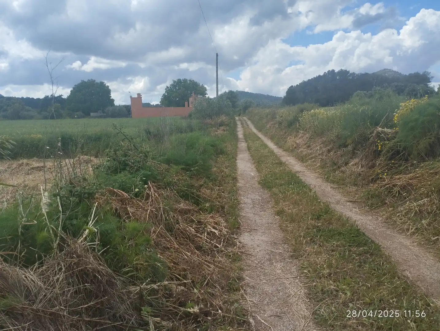 Rural land for sale in Algaida, imagen 6