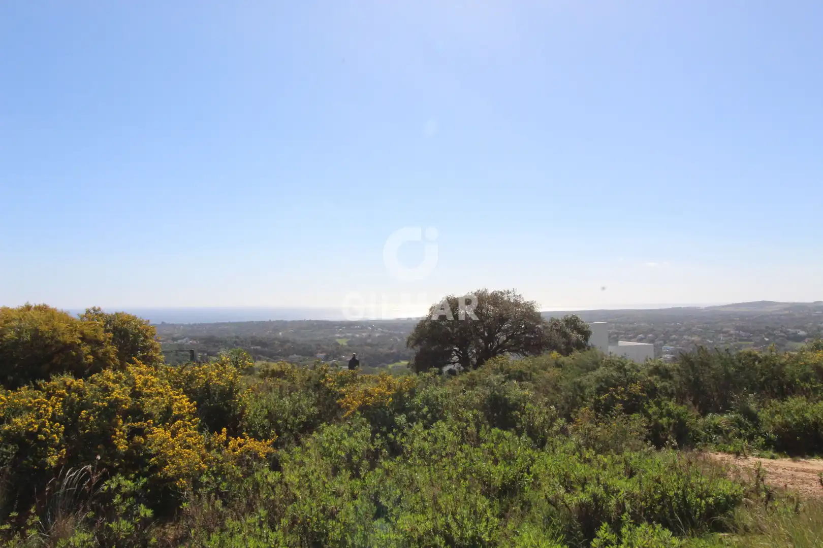 Chalet con piscina en venta en Sotogrande Alto, imagen 12