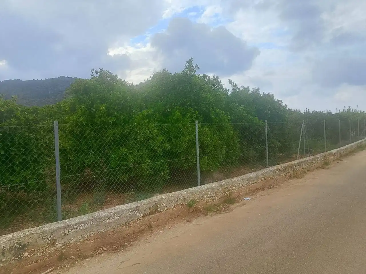 Terreny rústic en venda a Sector Enmig, imagen 9