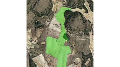 Finca rustica de regadío en venta en Sax, imatge 2