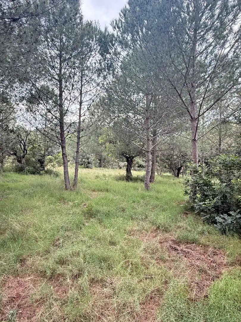 Casa rústica en venta en Onda, imagen 3
