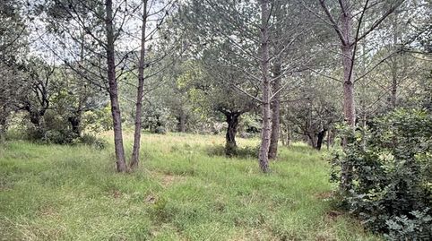 Finca Rúst. en venta en Onda., imagen 3