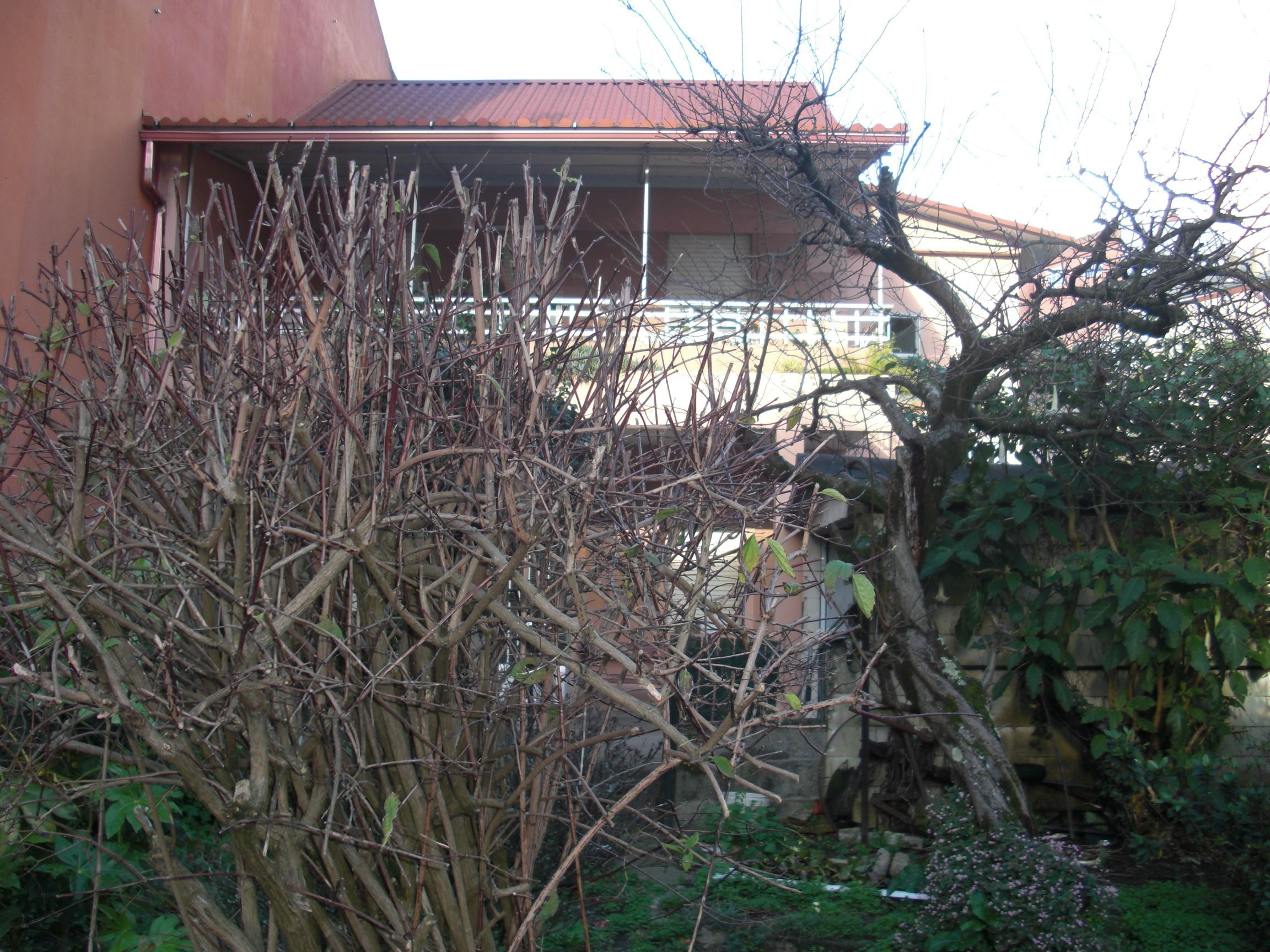 Vista exterior de Casa o chalet en venta en Vigo  con Jardín privado, Parquet y Terraza