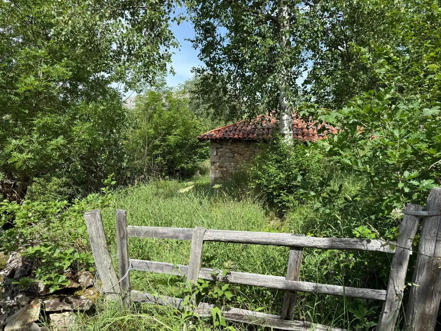 Casa con jardín en venta en Quirós, imagen 10