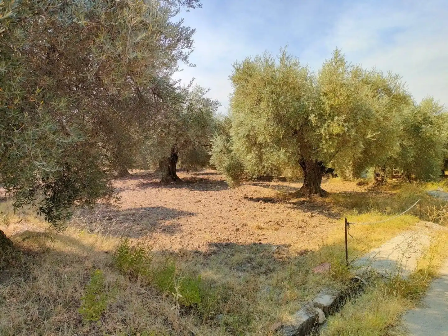 Grundstücke und Bauplätze zum Verkauf in Ugíjar