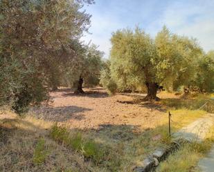 Land for sale in Ugíjar