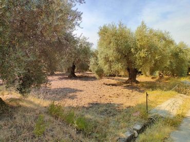 Terreno rustico in vendita a Ugíjar