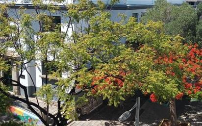 Jardí de Pis en venda en  Santa Cruz de Tenerife Capital