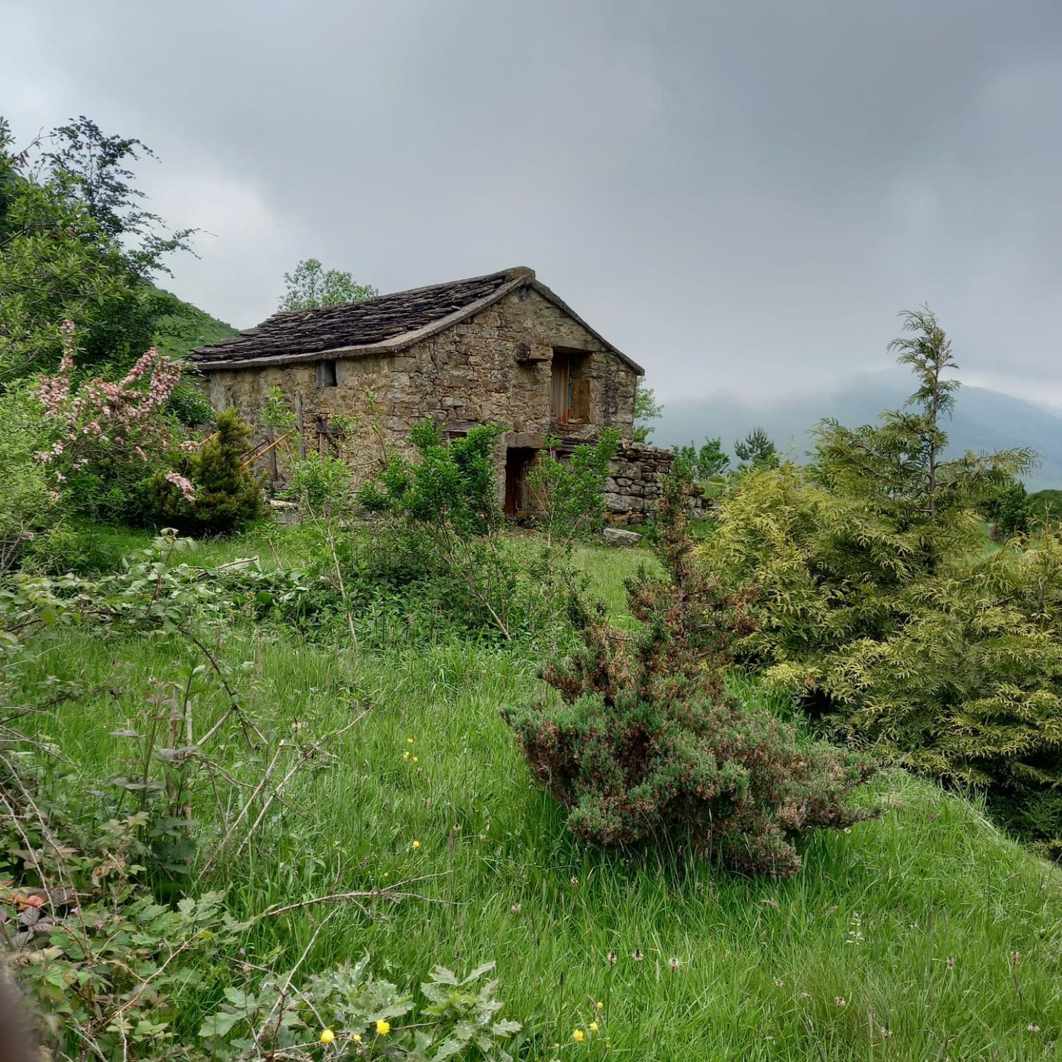 Exterior view of House or chalet for sale in San Roque de Riomiera