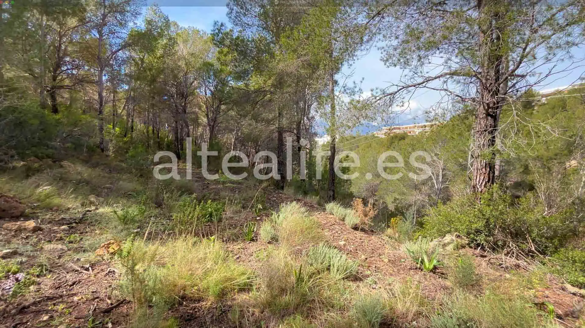 Terreny residencial en venda a Calle Erica, imagen 7