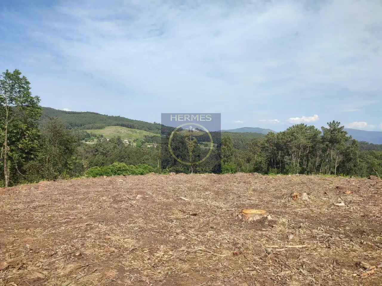 Land for sale in Tui