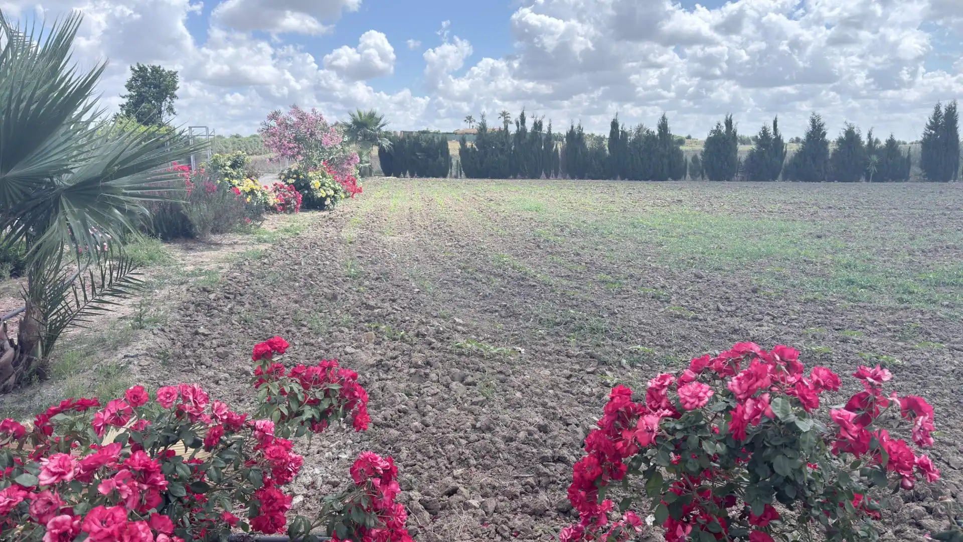 Terreni e lotti in vendita a San Juan del Puerto, imagen 49