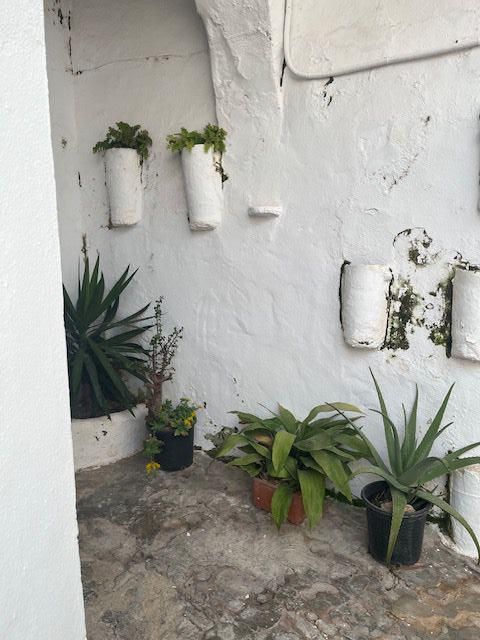 Estudio en venta en Vejer