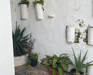 Jardí de Estudi en venda en Vejer de la Frontera