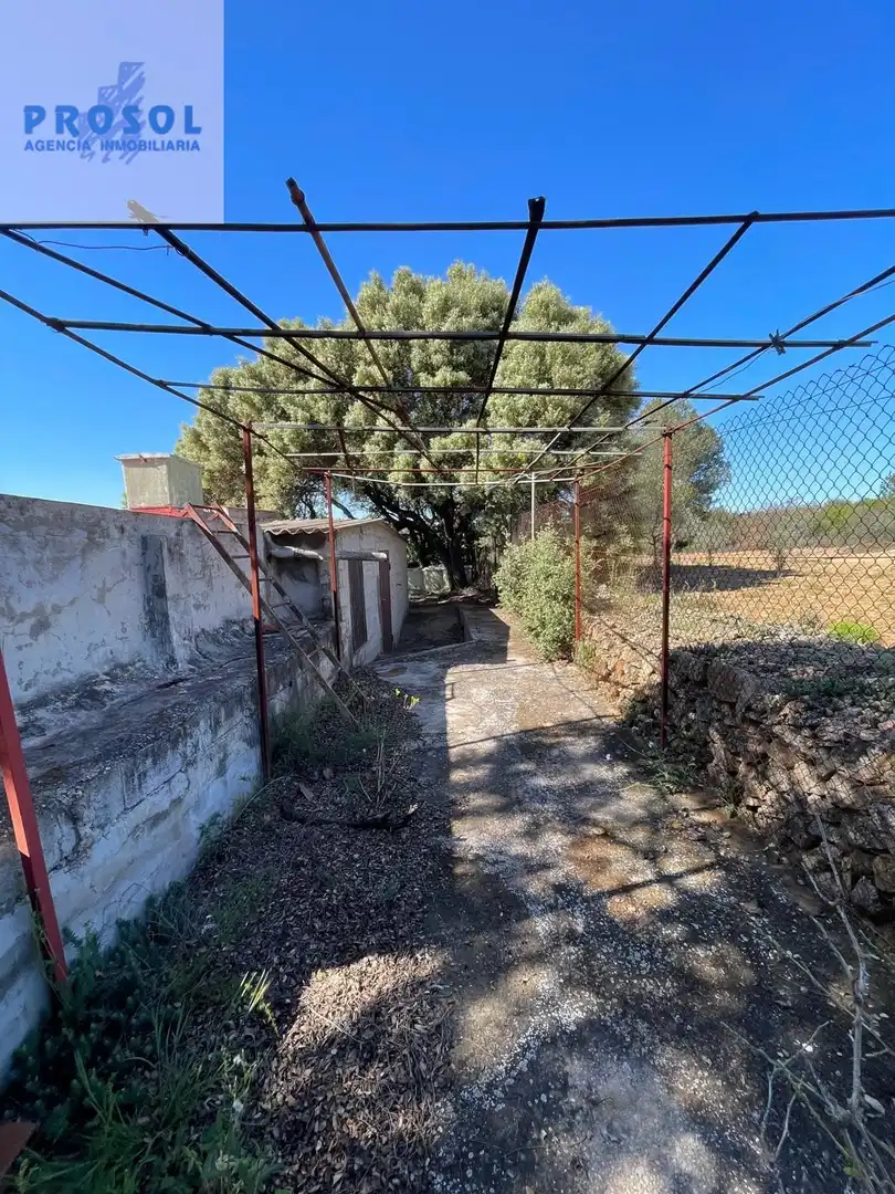 Finca rústica en venta en Vilafamés