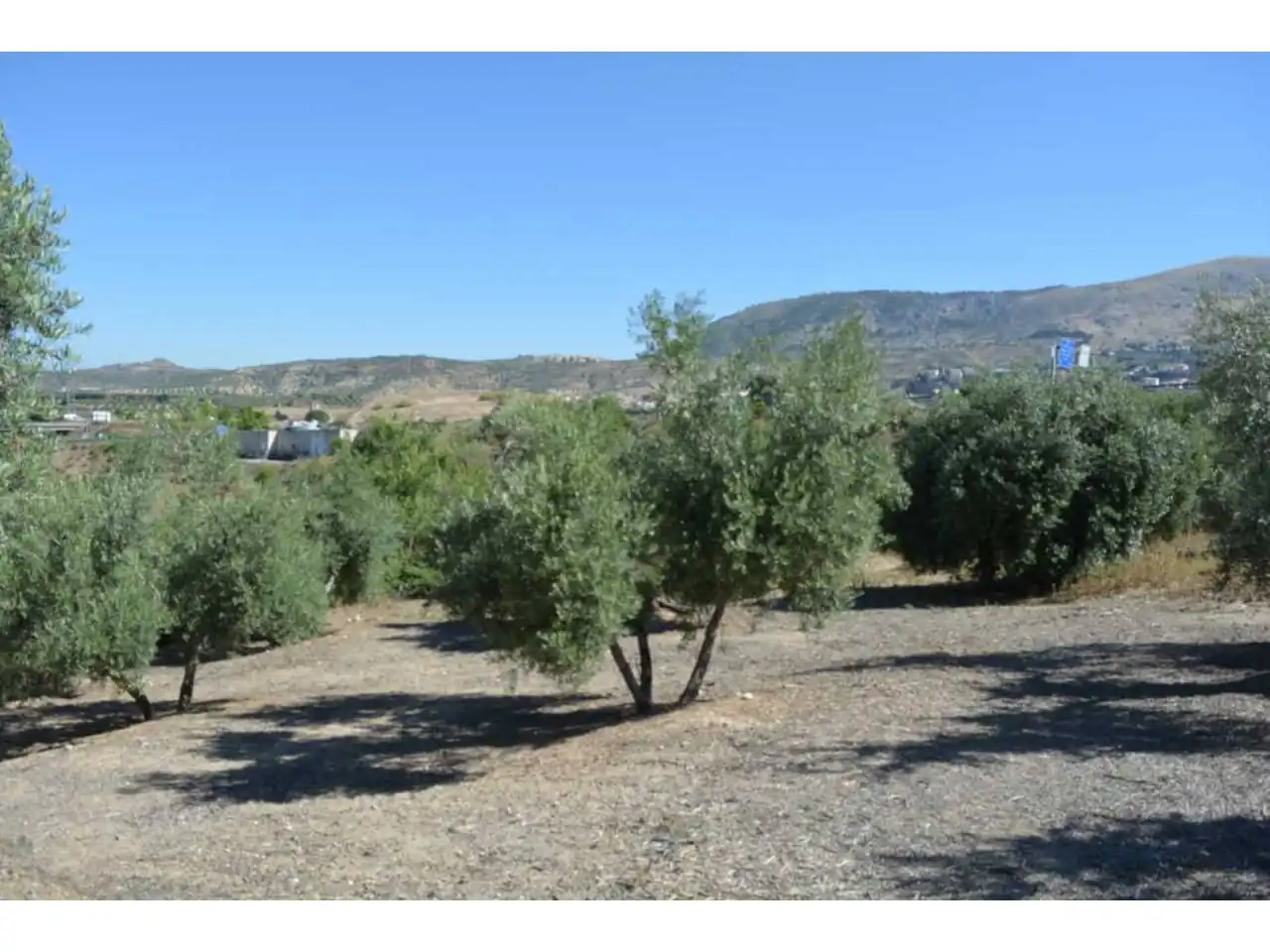 Terreny residencial en venda a Alfacar, imagen 6