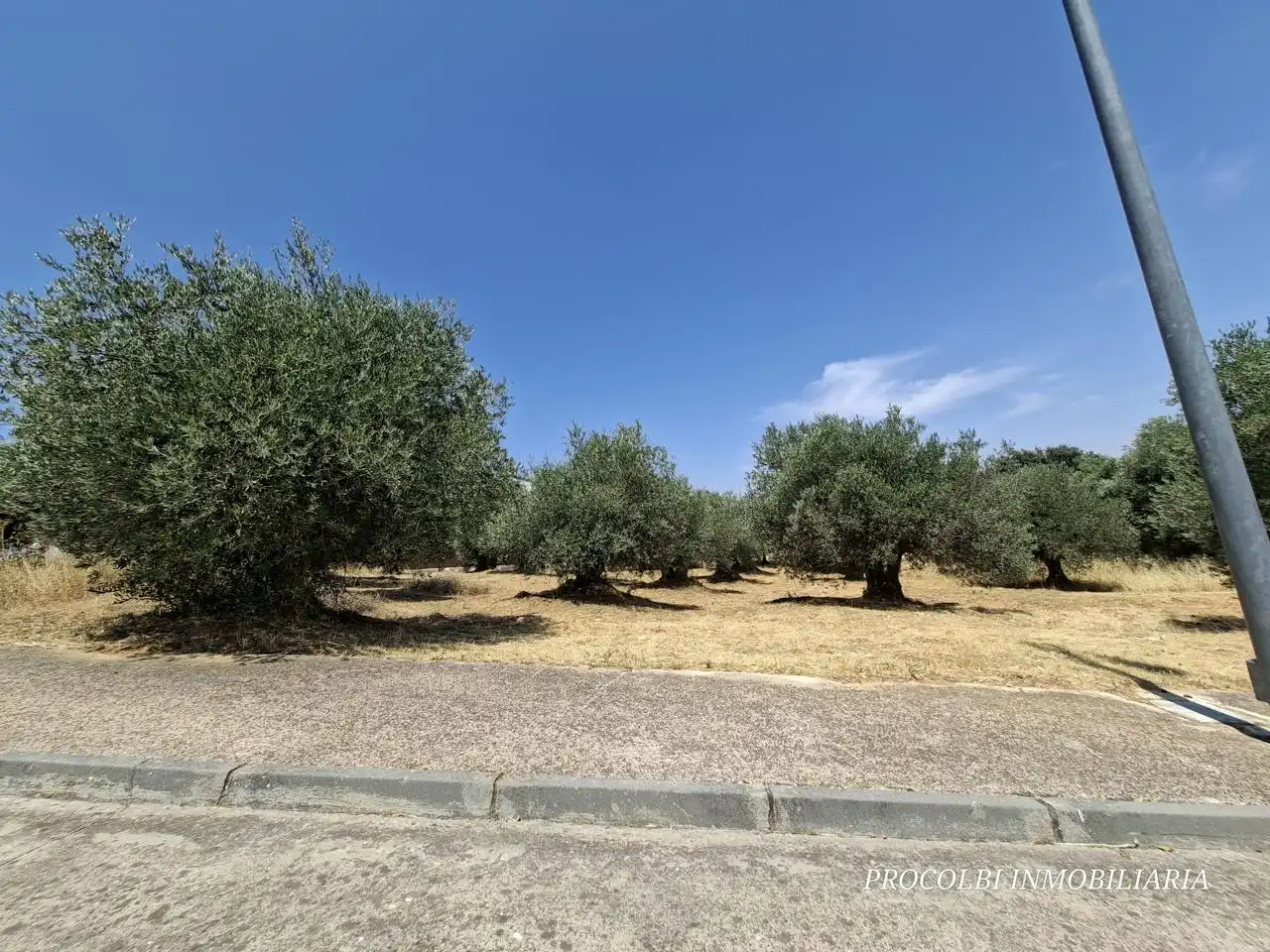 Lands and plots for sale in Calle Río Tajuña 1676, imagen 9
