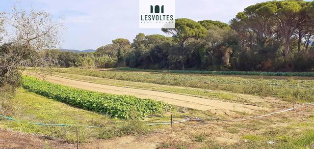 Terreno residencial en Venta en Llofriu