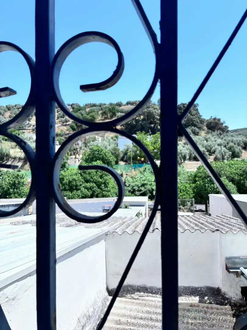 Jardín de Casa o chalet en venta en Rute con Trastero y Amueblado