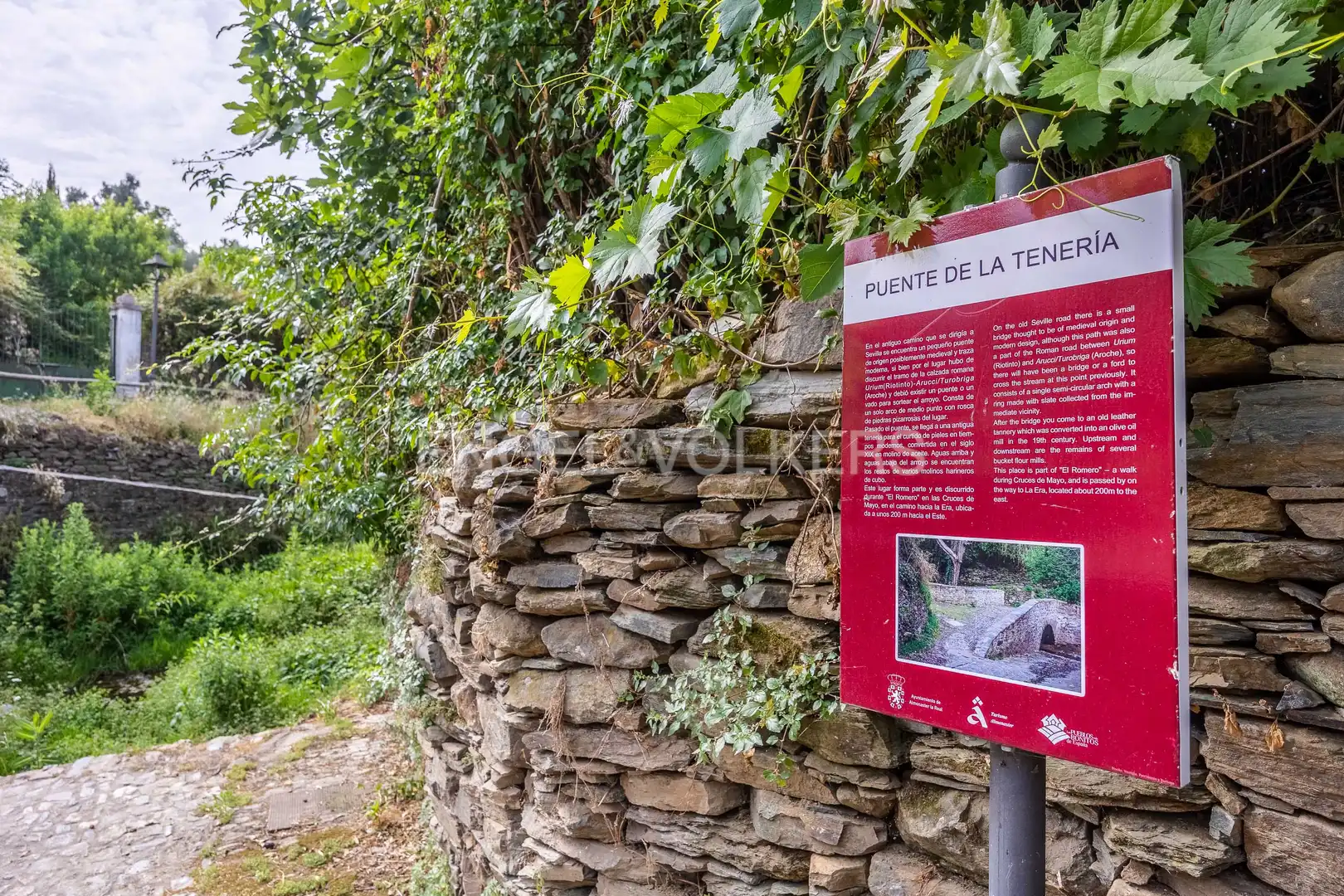 Vista exterior de Finca rústica en venta en Almonaster la Real con Calefacción