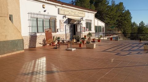 Photo 3 of Commercial properties for transfer in Orquidea, El Pinar de Campoverde, Pilar de la Horadada