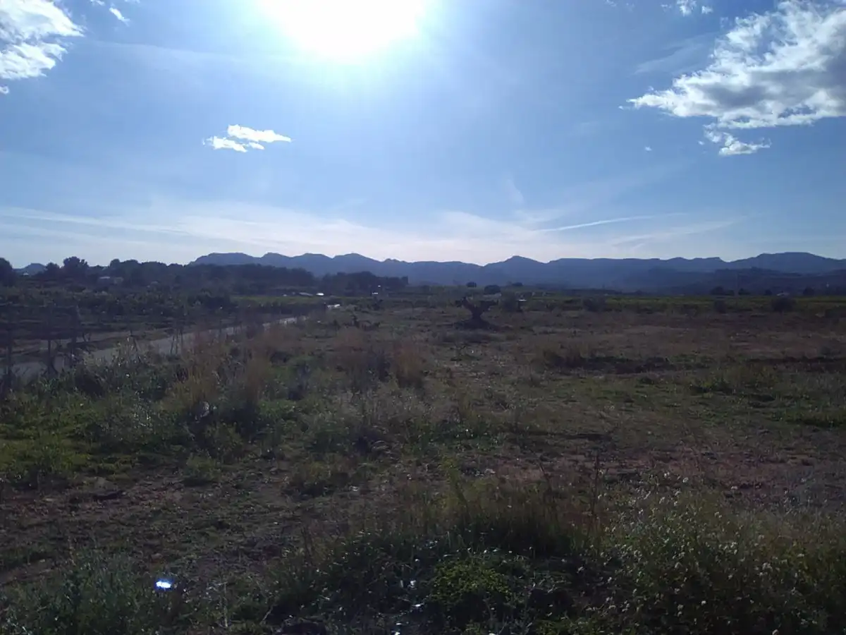 Terreno rústico en venta en Alfara de la Baronia, imagen 13