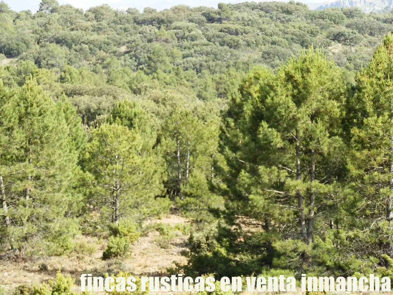 Terreno rustico in vendita a Caravaca de la Cruz, imagen 8